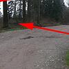 Auf dem Foto, das uns die Polizei zur Verfügung gestellt hat, ist der Fundort des Schädels auf dem Waldparkplatz beim Bergsee ...