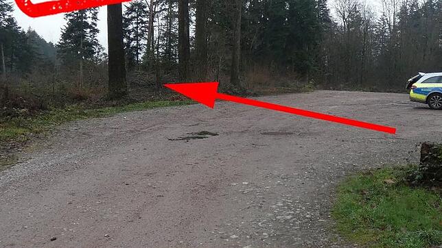 Auf dem Foto, das uns die Polizei zur Verfügung gestellt hat, ist der Fundort des Schädels auf dem Waldparkplatz beim Bergsee ...