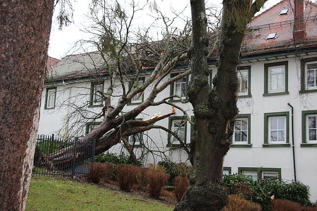 Sturm &bdquo;Sabine&ldquo; hat auch in St. Georgen viele Schäden angerichtet.