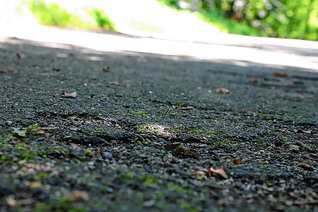 Radfahrer haben es nicht einfach auf der Allee.