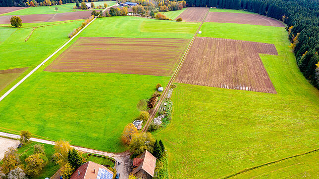 Auf dieser Fläche bei den Spitalhöfen, zwischen Waldrand und Feldweg, solle die Solaranlage auf zehn Hektar gebaut werden.