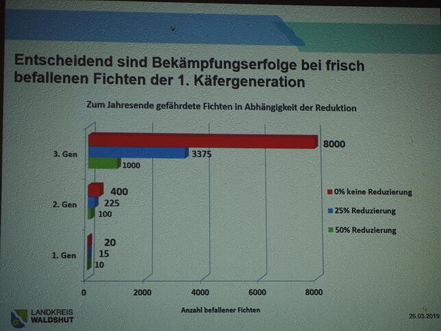 Dieses Schaubild veranschaulicht die Notwendigkeit einer raschen Aufarbeitung des Käferholzes im Frühjahr.