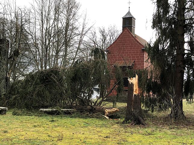Im Stadtgebiet von Villingen stürzten viele Bäume um – wie hier an der Lorettokappele am Wohngebiet Hammerhalde.