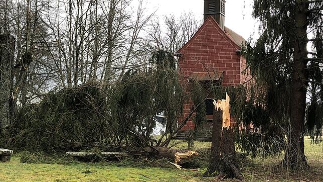 Im Stadtgebiet von Villingen stürzten viele Bäume um &ndash; wie hier an der Lorettokappele am Wohngebiet Hammerhalde.