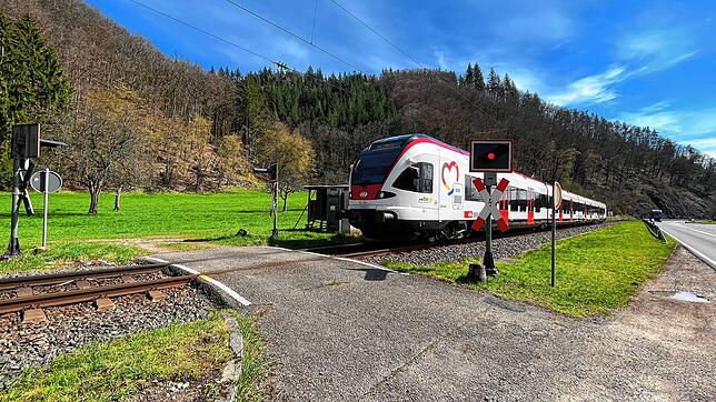 Da die S-Bahn-Strecke zu nah an der B317 verläuft, darf der Zug in diesem Abschnitt nur mit gedrosselter Geschwindigkeit fahren.