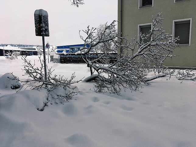 Vielerorts in Villingen haben Äste der Schneelast nachgegeben.