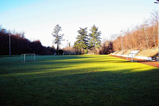 Dieser Fußballplatz in Meersburg wird wohl künftig für die Öffentlichkeit gesperrt. Dann dürfen dort nur noch Mitglieder des TuS ...