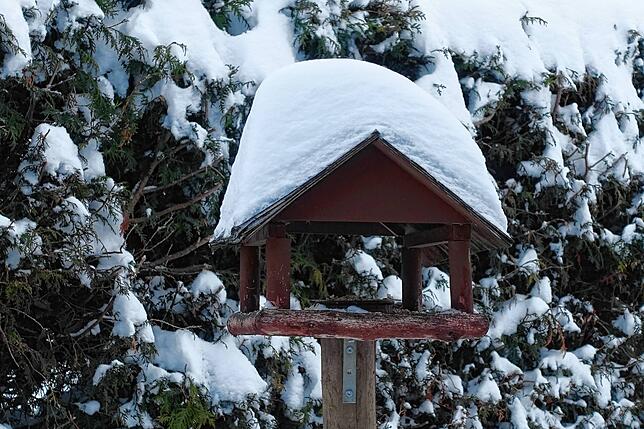 Bild 2: Der Winter hat zugeschlagen Teil 2