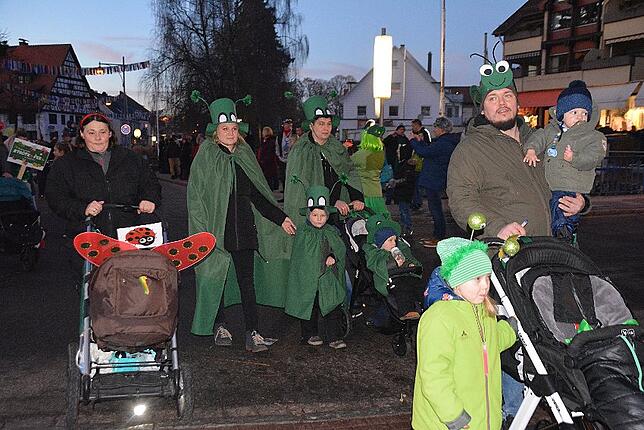 Bild 25: Narrentreffen der Urviecher-Zunft: Bilder vom Eröffnungsumzug (1)