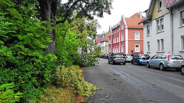 Durchfahrt unmöglich – ein abgebrochener Baum und mehrere Äste blockieren nach dem Unwetter einen Fahrstreifen in der ...
