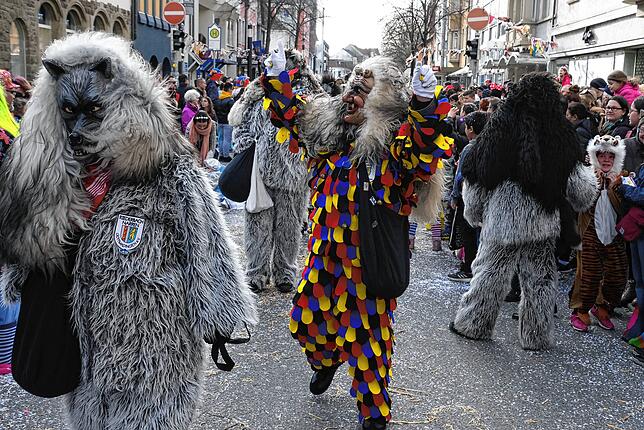 Bild 2: Bilder vom großen Fasnet Samschdig-Umzug der Poppele-Zunft (3)