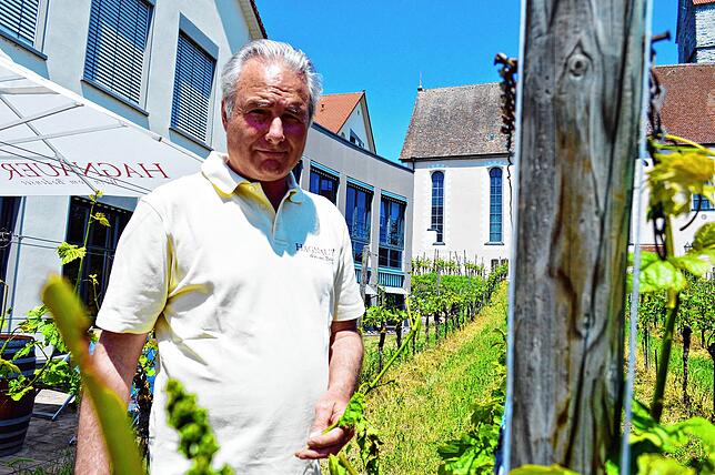 Karl Megerle, hier in den Reben in Hagnau, ist Vorsitzender des dortigen Winzervereins. Bleiben die kommenden Wochen schön, sei ein sehr ...