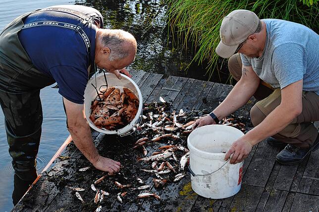 Werner Mattes (links) und Raphael Wegner von der Pfohrener Angler-Vereinigung holen hunderte verendeter Tiere aus dem Riedsee bei Pfohren.