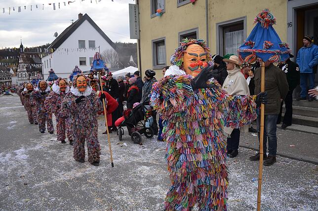 Bild 2: Eigeltinger Narrentage: Der Sonntagsumzug in Bildern (4)