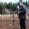 Revierförster Roland Teufel berät Waldbesitzer, wie sie ihre Parzellen für den Klimawandel rüsten. An den ökologisch abbaubaren ...