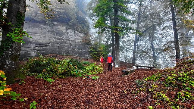 Auf dieser Lichtung kurz vor dem Beginn der morschen Treppen entsteht das Materiallager für die weiteren Arbeiten in der Marienschlucht.