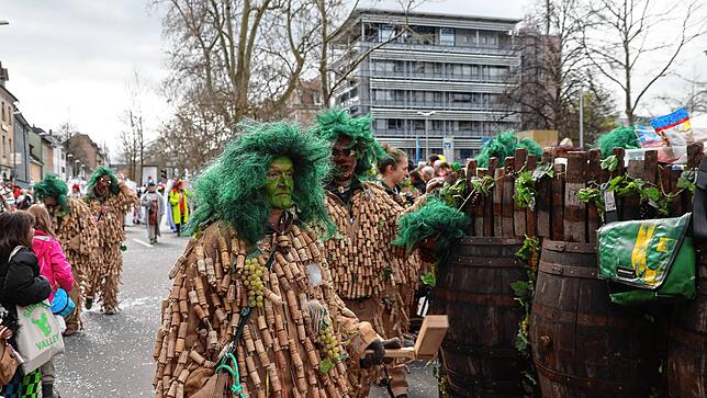 Bild 4: Großer Umzug 2023: Die Zuschauer bestaunen das bunte Treiben in Konstanz
