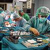 Organspenden sind auch in der Schweiz ein rares Gut. Fast 1500 Menschen warten dort derzeit auf ein Organ. Das Problem liegt nach ...