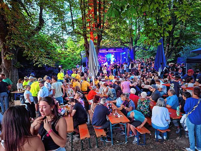 Bild 7: Tolle Stimmung und buntes Programm: Kreisfeuerwehrtag in Gottmadingen bietet Können und Spektakel
