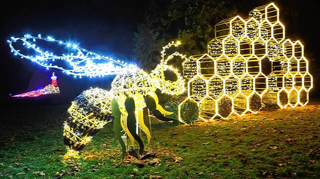 (Archivbild) Etwa zwei Dutzend Figuren und Lichtinstallationen erhellten im vergangenen Jahr die Insel Mainau beim Christmas Garden ...