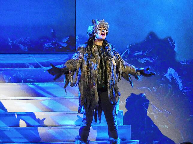 Bild 25: Musical-Karussell feiert Premiere: Das sind die Bilder (I)