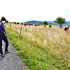 Die Gemeinde Bernau ist auch landwirtschaftlich geprägt. Landwirtin Anja Baur (41) zeigt ihre Rinderherde.
