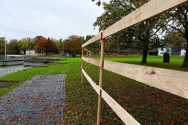 Der Baumbestand ist großräumig durch Bretter geschützt, damit kein Baum während der Bauarbeiten Schaden nimmt.