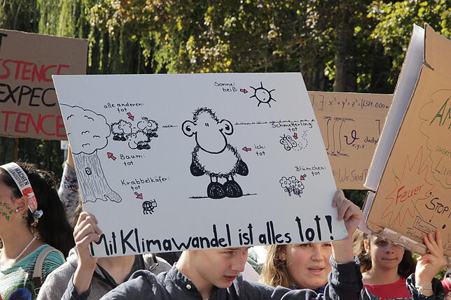 Bild 22: Bilder von der Fridays for Future-Demonstration in Villingen