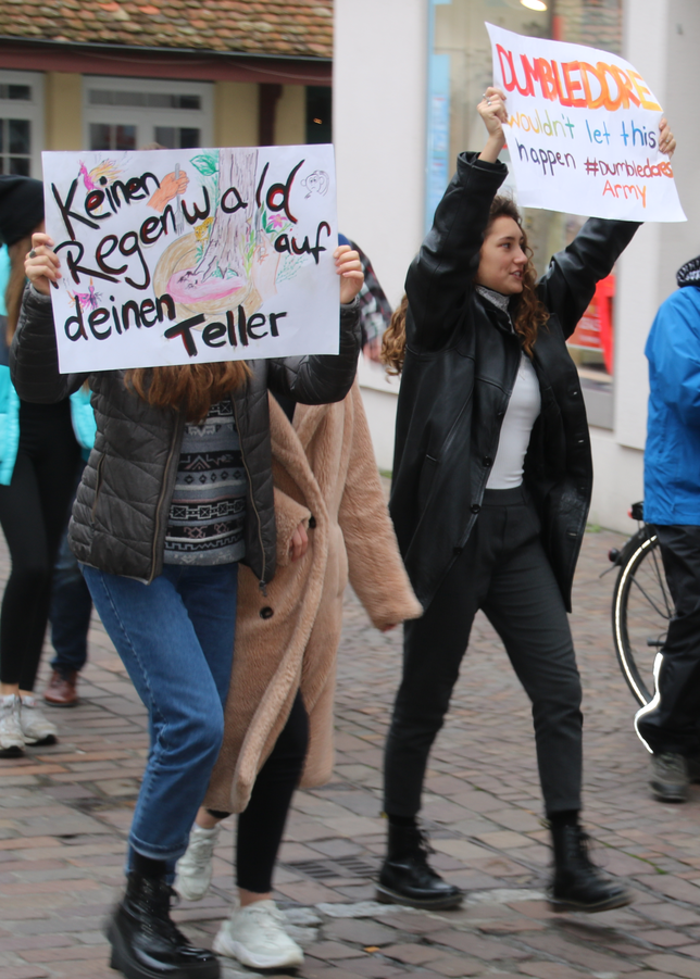 Bild 5: Fridays-for-Future geht in die nächste Runde: Bilder und Videos von der Demonstration in Radolfzell
