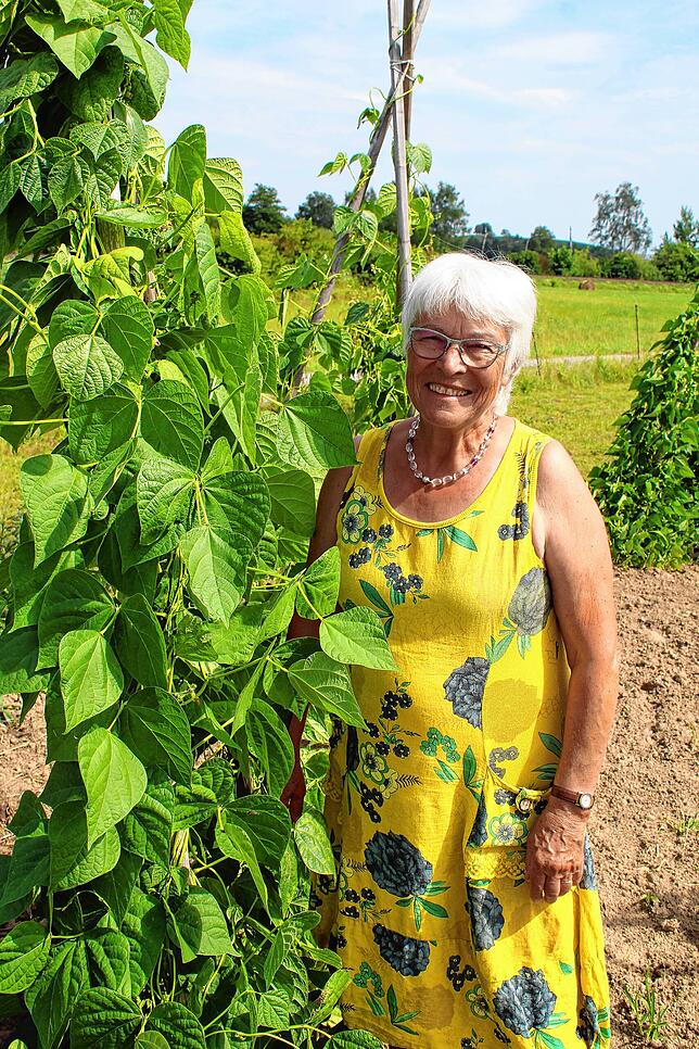 Die Stangenbohne namens Salemer Gartensorte wird seit über 50 Jahren in einem Privatgarten in Mimmenhausen vermehrt. Im Sortengarten ...
