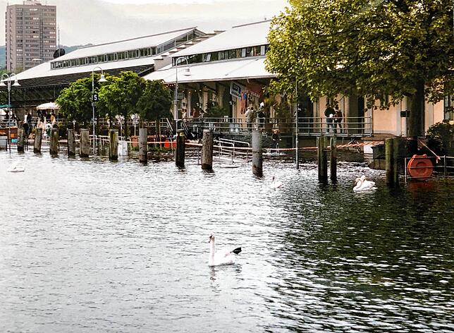Bild 7: Archivbilder vom Hochwasser 1999 in Konstanz!