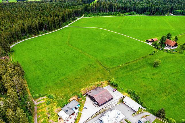 Gelände für die geplanten Minihäuser in Unterkirnach, zwischen der Gaststätte Ackerloch und dem Wald oberhalb.
