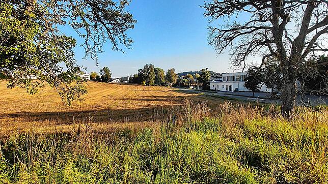 Auf diesem Areal gegenüber dem Hallenbad Mühlhofen soll das Kinderhaus Sonnenschein entstehen. Der Baum rechts soll als Totholz-Torso ...