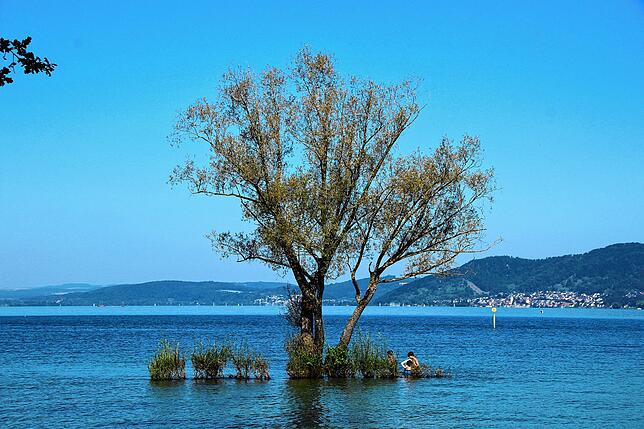 Die kleine Insel mit dem prächtigen Baum rund 30 Meter vor dem Strand im Klausenhorn. Normalerweise kann man im August und September ...