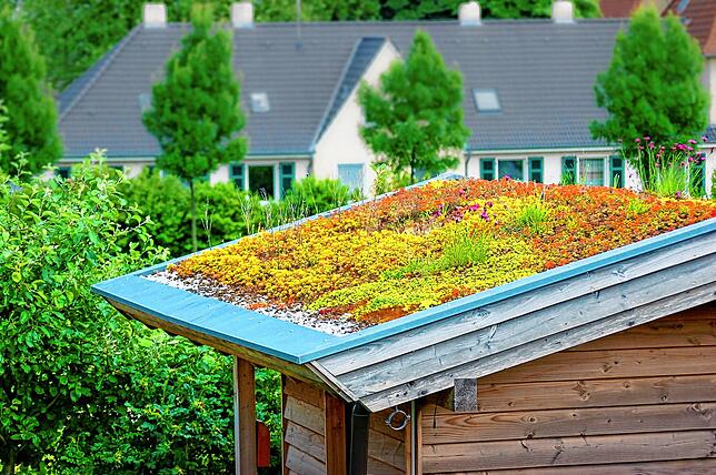 Dachbegünungen sind gut fürs Mikroklima – in Städten besonders, aber auch auf dem Land.