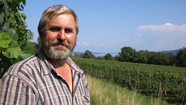 Ein Vordenker: Hans Rebholz hat den Weinbau zurück auf die Halbinsel Höri gebracht. Vor allem in Gaienhofen und Weiler pflegt er seine ...