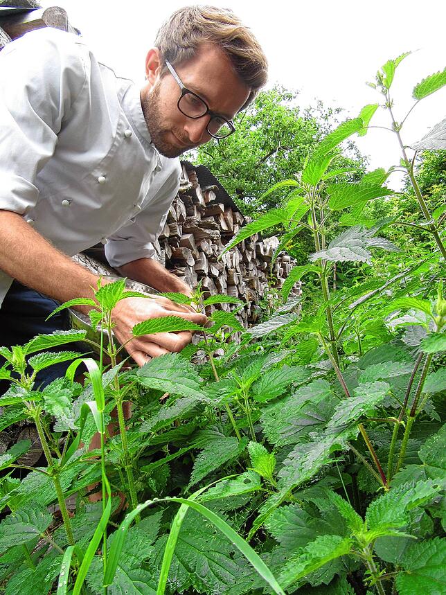 Jan Braun beim Brennnesselnsammeln im heimischen Garten. „Ein hervorragender Pizzabelag“, so der Naturkoch.