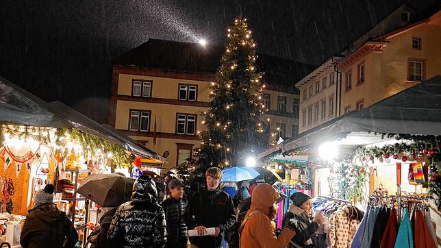 Der Weihnachtsmarkt ist am Freitag eröffnet worden.