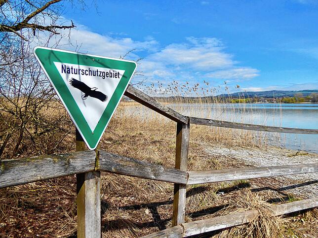 Die Halbinsel Mettnau ist insbesondere für Vögel ein wichtiges Schutzgebiet.