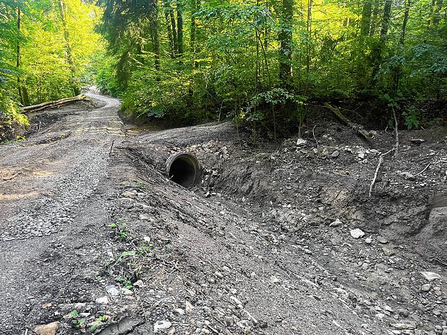 Viele Waldwege um den Gehro-Trail mussten nach dem Unwetter am 26. Juni repariert werden. Hier etwa sei das Wasser meterhoch am Rand ...
