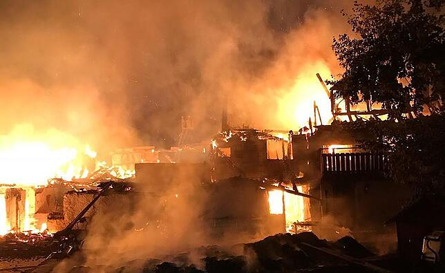 In der Nacht vom 31. Juli auf 1. August 2018 brannten weite Teile des alten Hofes Balisheim bei Gaienhofen (Höri) ab. Für die ...