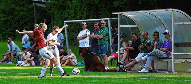 Bild 17: Die besten Bilder vom Meisterstück der SG Sipplingen/Bodman-Ludwigshafen in Konstanz!
