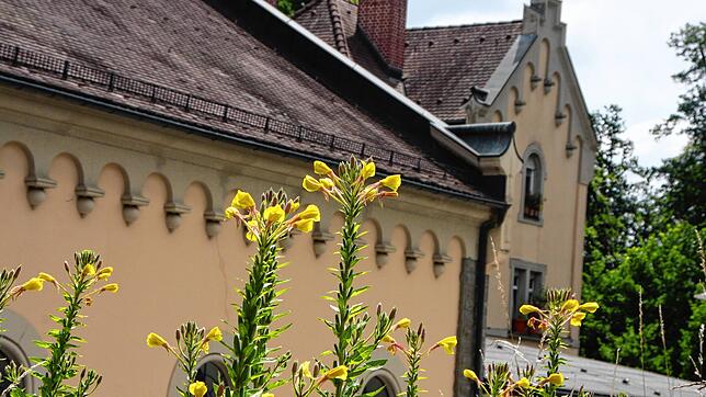 (Archivbild) Vor dem Konstanzer Wasserwerk lauerte ein Exhibitionist der Frau auf.
