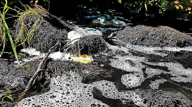 Wo das Wasser in die Kleine Wiese fließt, bildet sich Schaum.
