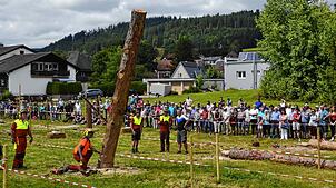 Der Baum fällt und die Spannung beim Publikum steigt: Wird der Baumstamm das vorgegebene Ziel treffen? Bilder: Christiane Sahli