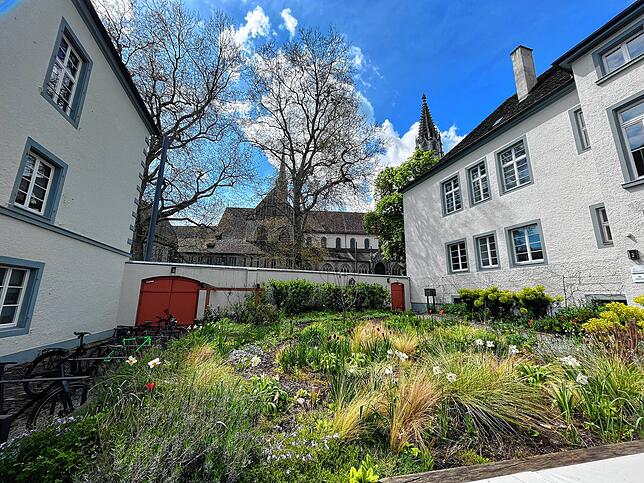 Hier lässt es sich aushalten: Über das kleine Tor gelangt man vom Münsterplatz aus in den Garten der Pallottiner-Gemeinschaft. Das Areal ...