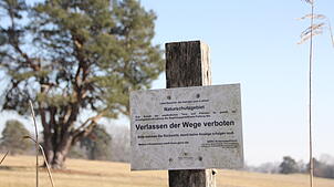 Im Wollmatinger Ried ist das Verlassen der Wege verboten. Von einer Pflanzenart wachsen dort nur noch fünf Exemplare, möglicherweise die ...