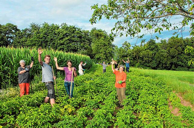 Die Freizeit-Bauern vom Mitmach-Acker in Niederhof haben noch Feldparzellen für Interessierte frei. Auch hier wachsen Kartoffeln.
