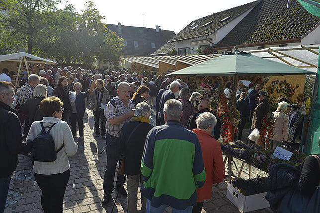 Bild 31: Alle Bilder vom Büllefest in Moos