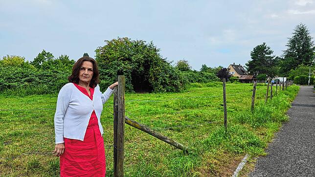 Marianne Herbert-Mirutz vor der Wiese an der Häfler Ifenstraße, die bebaut werden soll. Das wird im Quartier kritisch gesehen. Zusammen ...